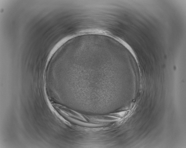 X0000081561389200702051138