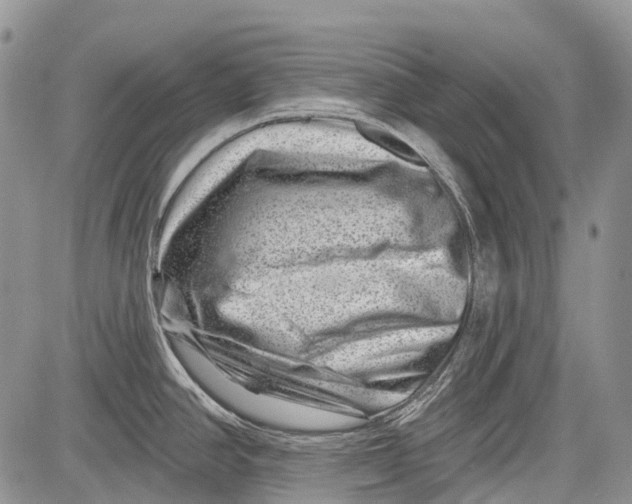 X0000081561390200702051138