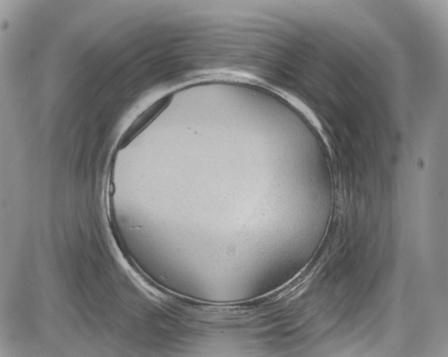 X0000081561391200702051138