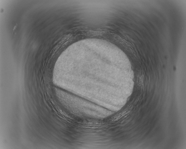 X0000081561393200702051137