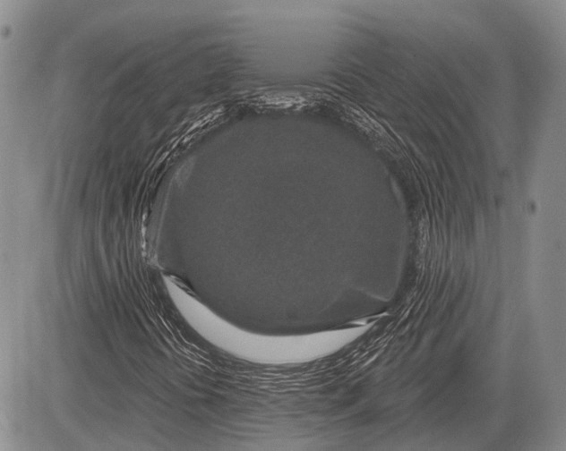 X0000081561394200702051137