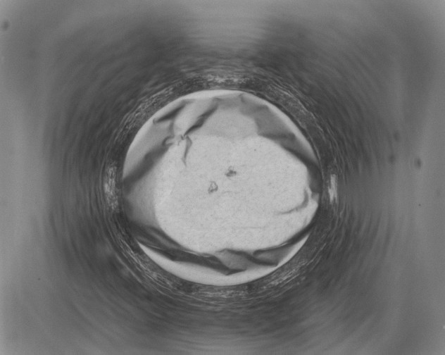 X0000081561396200702051137