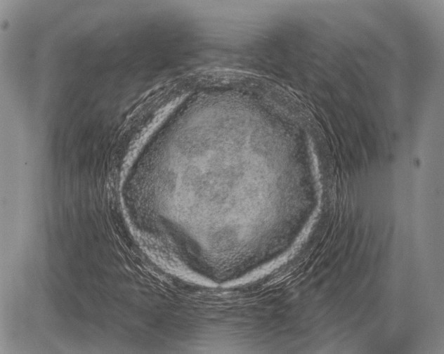 X0000081561397200702051137