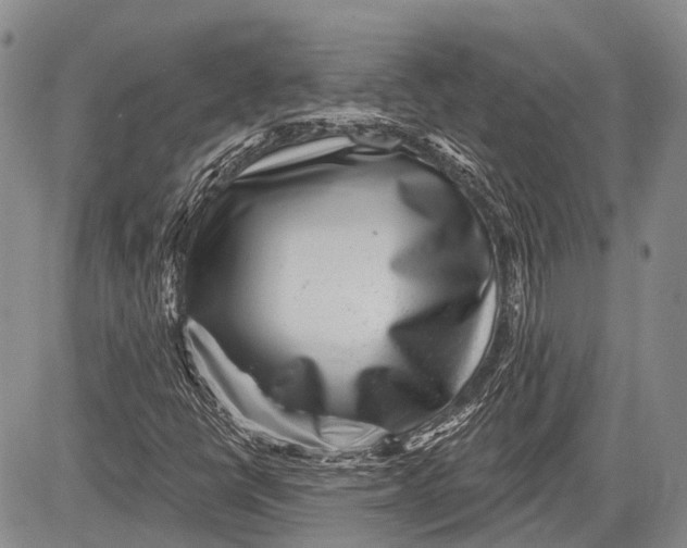 X0000081561398200702051137