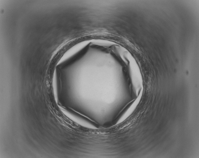 X0000081561400200702051137