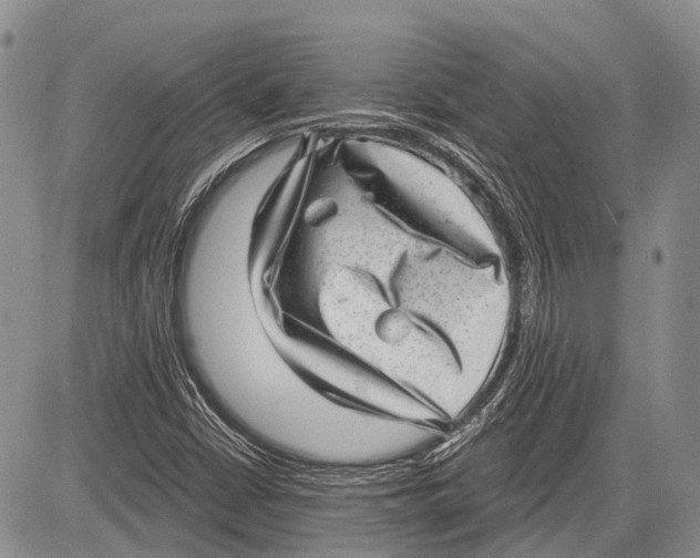 X0000081561402200702051137