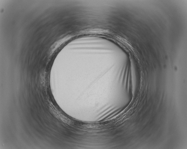 X0000081561404200702051137