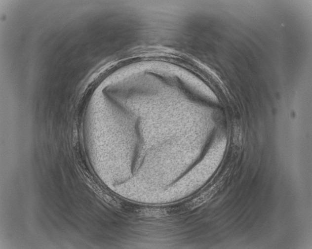 X0000081561407200702051138