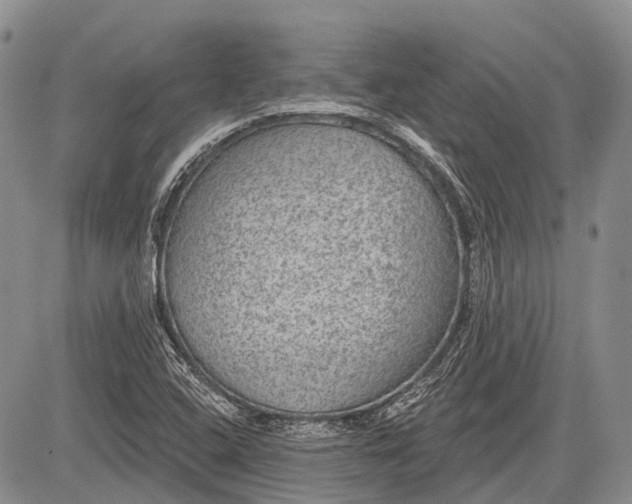 X0000081561408200702051138