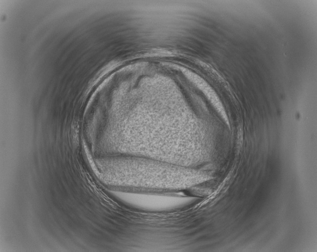 X0000081561409200702051138