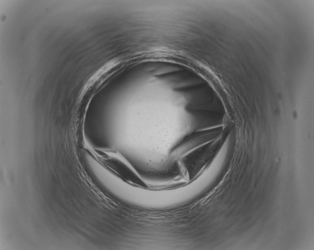 X0000081561410200702051138