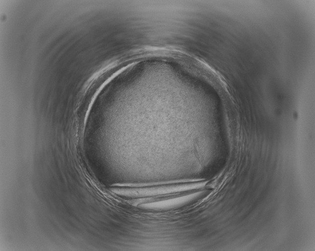 X0000081561411200702051138