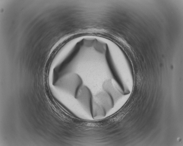 X0000081561412200702051138