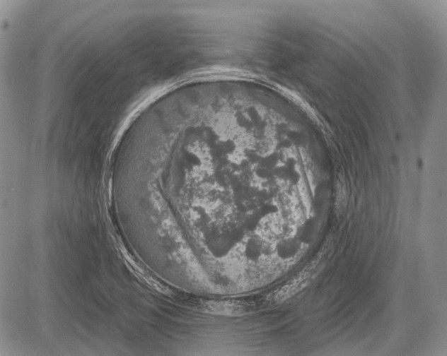 X0000081561413200702051138