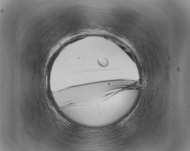 X0000081561414200702051138