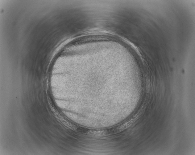 X0000081561415200702051138