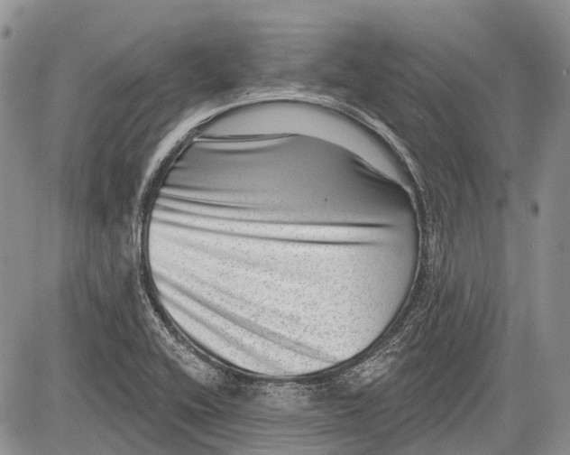 X0000081561416200702051138