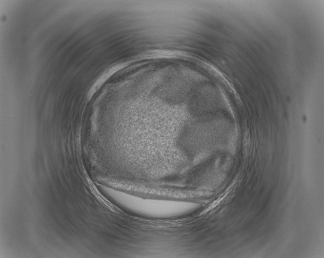 X0000081561417200702051138