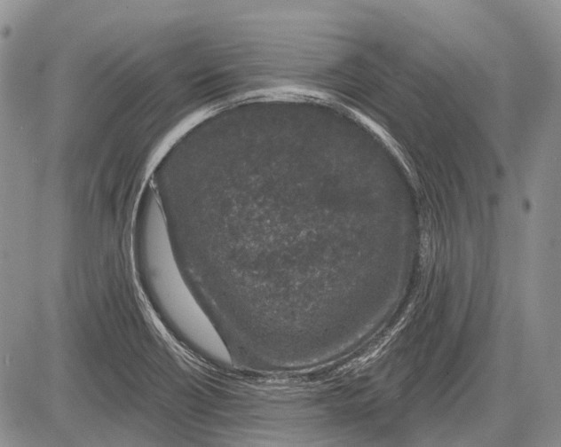 X0000081561418200702051138