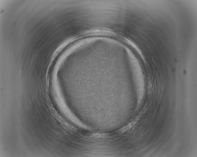 X0000081561419200702051138