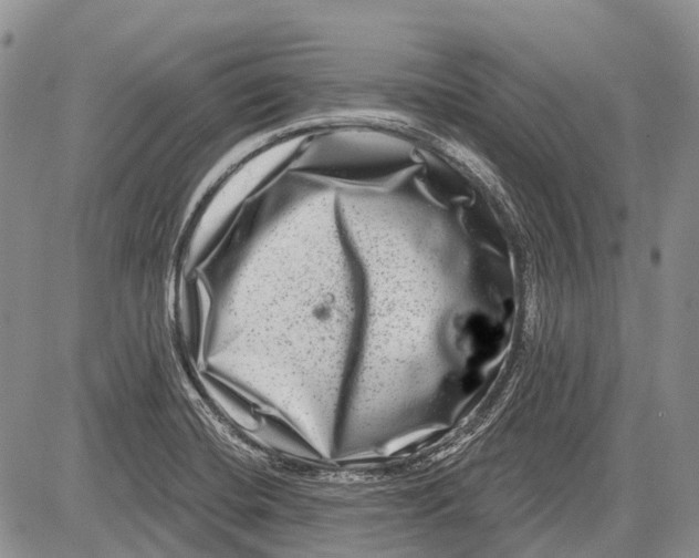 X0000081561420200702051138