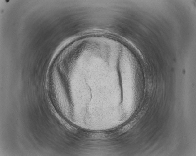 X0000081561421200702051138