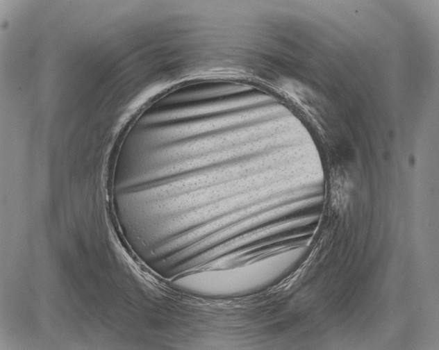 X0000081561422200702051138