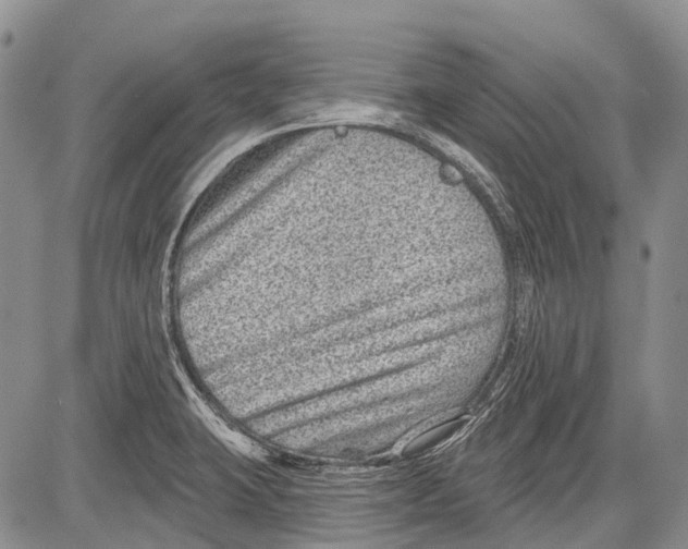 X0000081561423200702051138