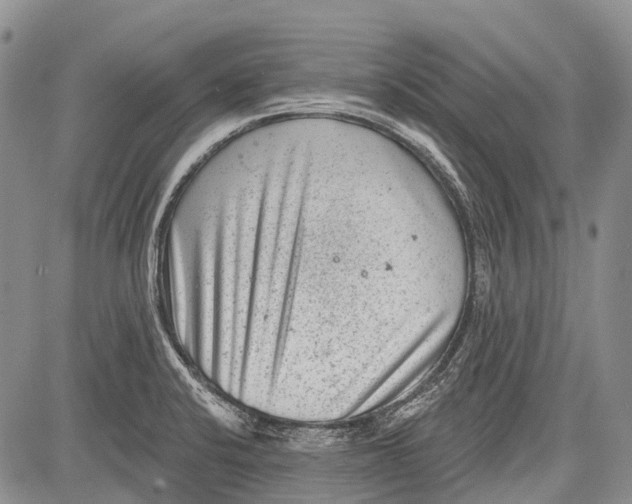 X0000081561424200702051138