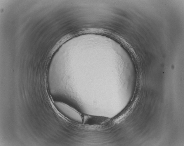 X0000081561425200702051138