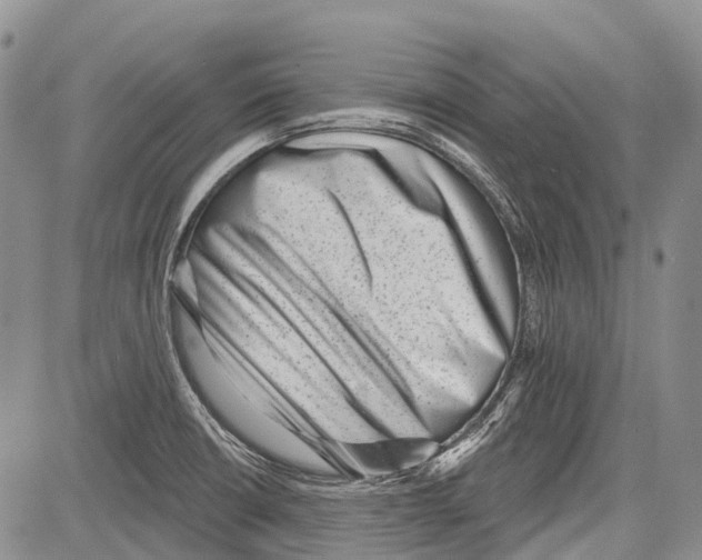 X0000081561426200702051138