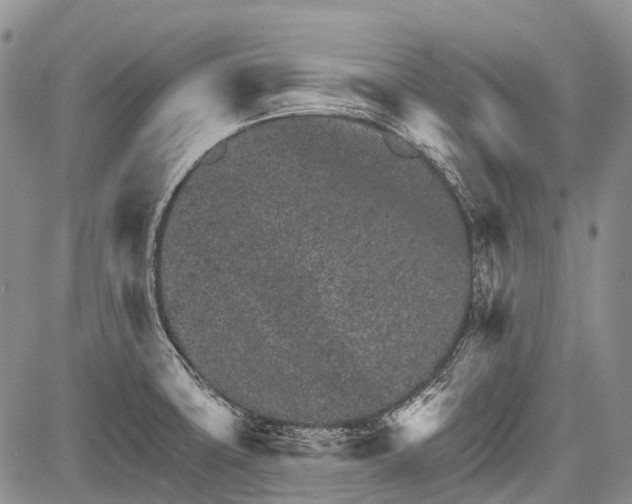 X0000081561427200702051138