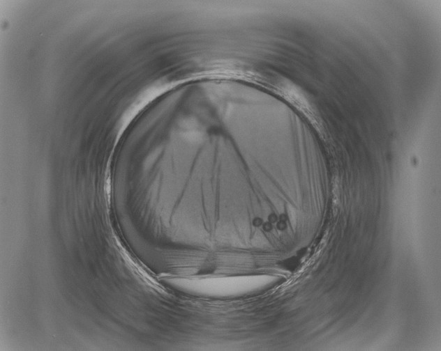 X0000081561428200702051138