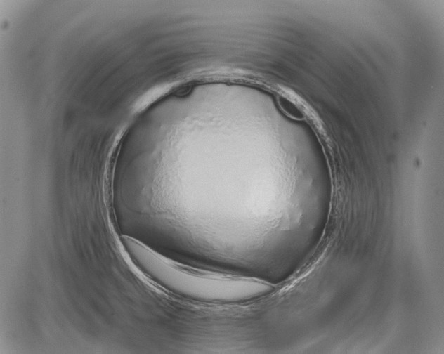 X0000081561429200702051138