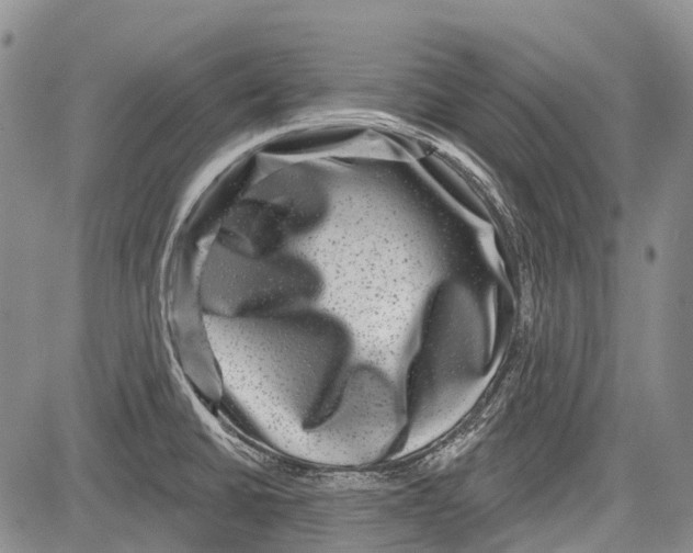 X0000081561430200702051138