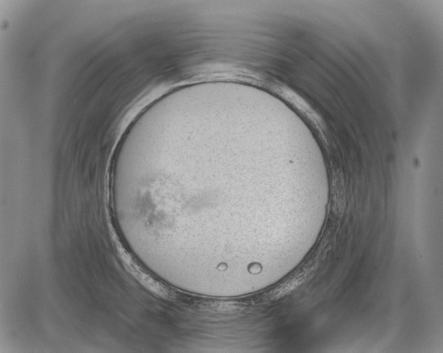 X0000081561431200702051138