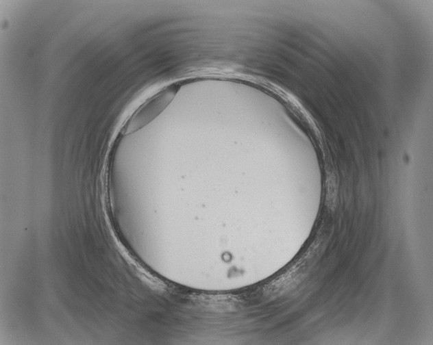 X0000081561432200702051138