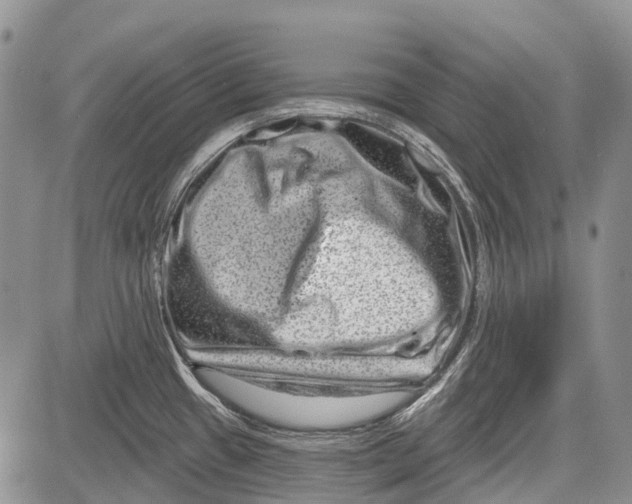 X0000081561433200702051138