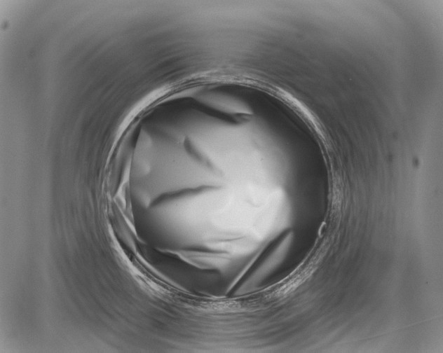 X0000081561434200702051138