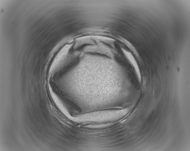 X0000081561435200702051138