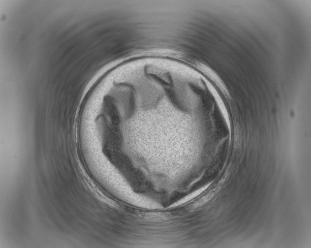 X0000081561436200702051138