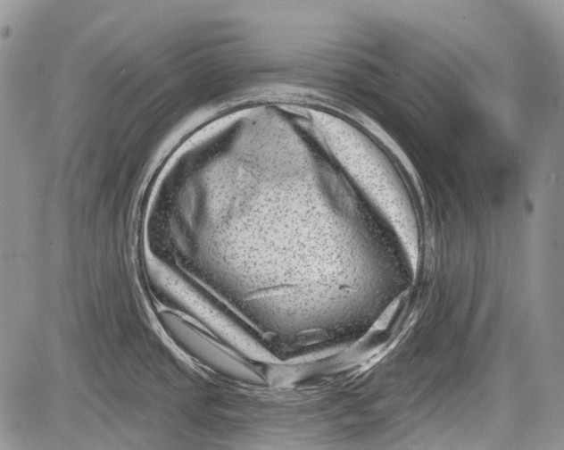 X0000081561437200702051138