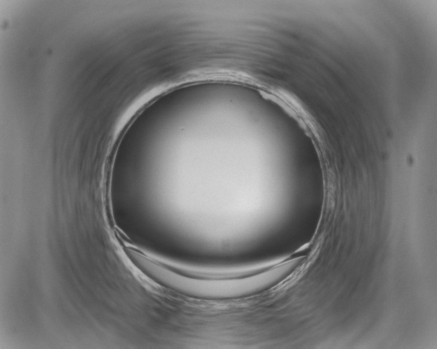 X0000081561438200702051138