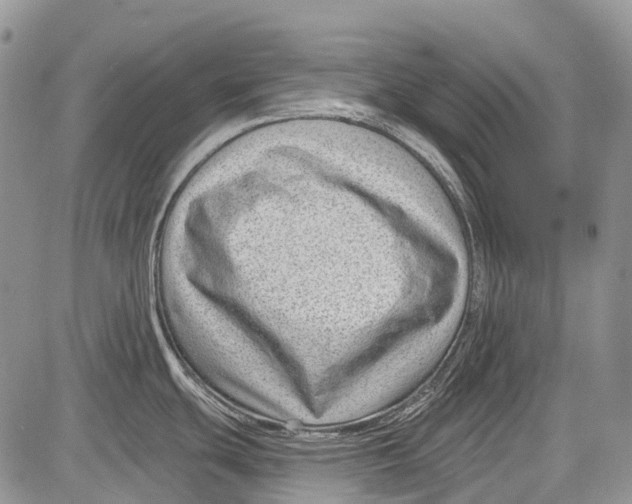 X0000081561439200702051138