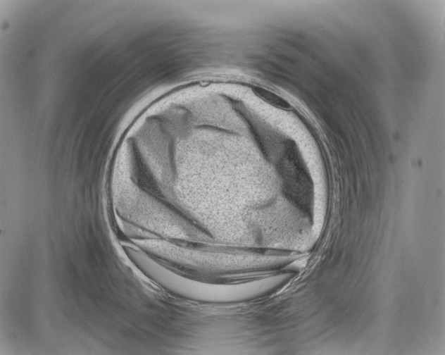 X0000081561440200702051138