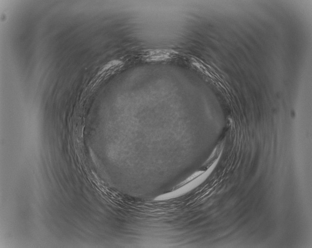 X0000081561441200702051137