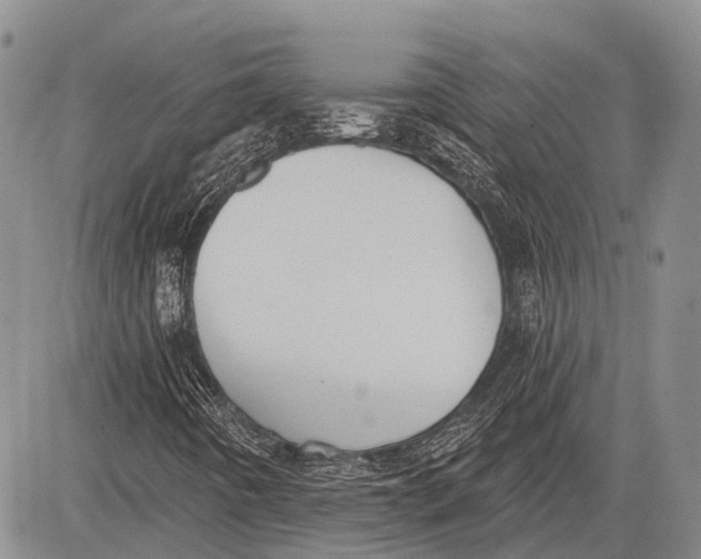 X0000081561442200702051137