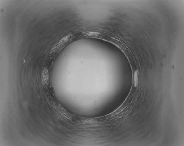 X0000081561443200702051137