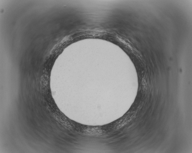 X0000081561447200702051137