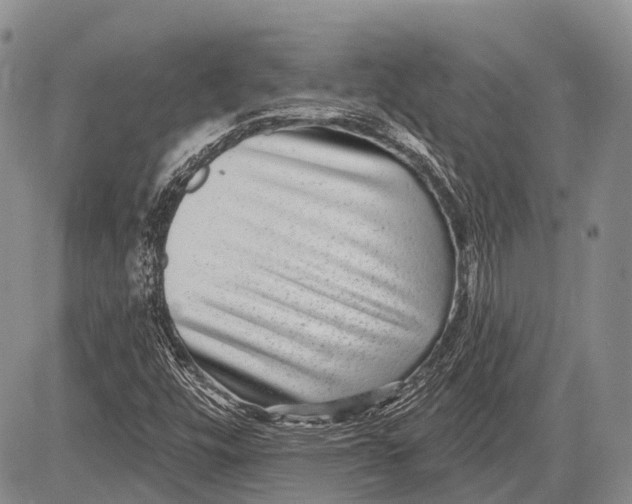 X0000081561448200702051137